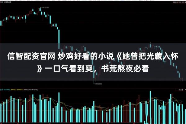 信智配资官网 炒鸡好看的小说《她曾把光藏入怀》一口气看到爽，书荒熬夜必看